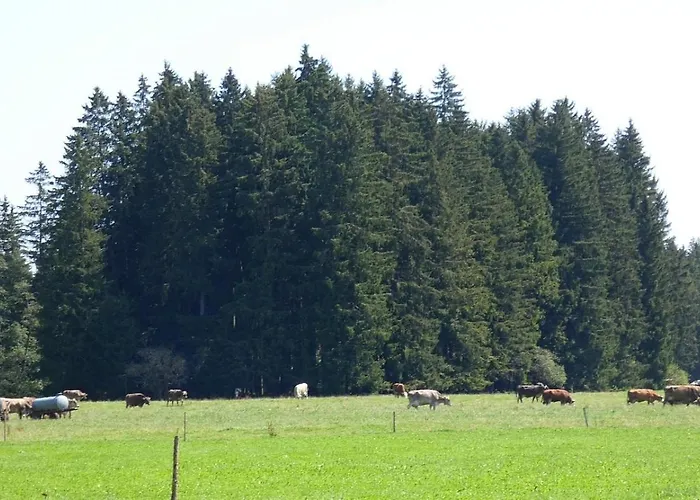 Nr 5, Lechbruck-gruendl, Allgaeu Appartamento *